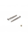 Vis terrasse à empreinte TORX + Embout offert