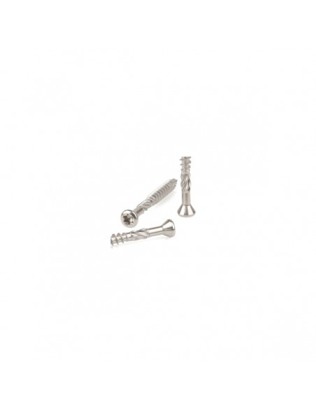 Vis terrasse à empreinte TORX + Embout offert